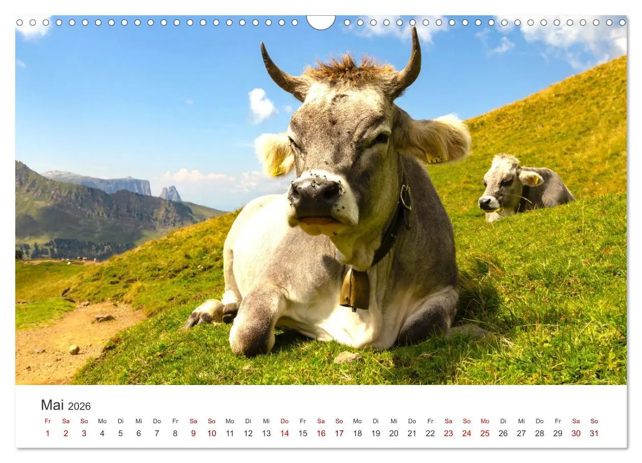 Bild: 9783457550588 | Seiser Alm - Im Herzen der Dolomiten. (Wandkalender 2026 DIN A3...