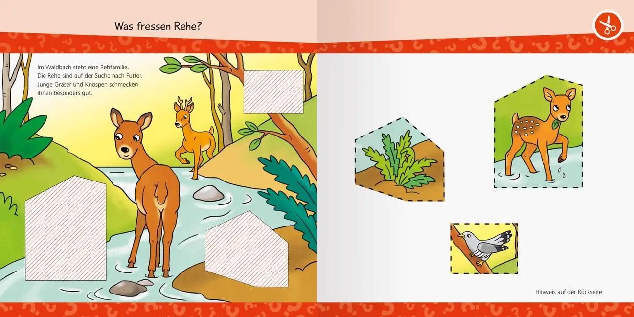 Bild: 9783473600588 | Wieso? Weshalb? Warum? junior AKTIV - Im Wald | Elke Broska | Buch