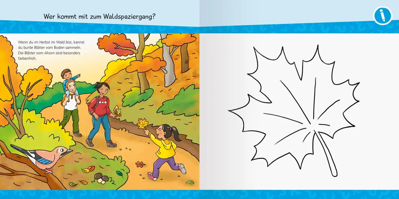 Bild: 9783473600588 | Wieso? Weshalb? Warum? junior AKTIV - Im Wald | Elke Broska | Buch