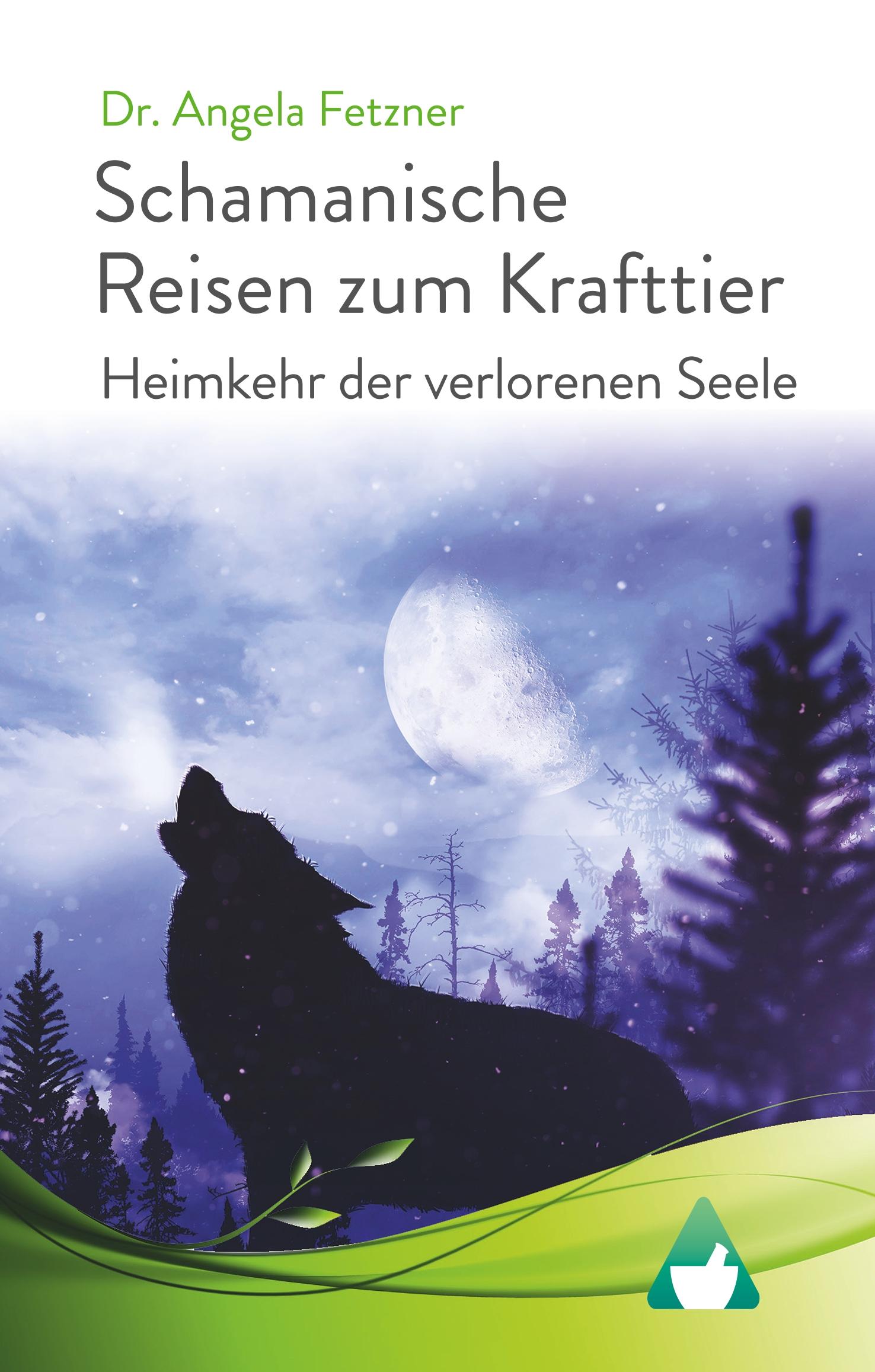 Cover: 9783750420588 | Schamanische Reisen zum Krafttier | Heimkehr der verlorenen Seele