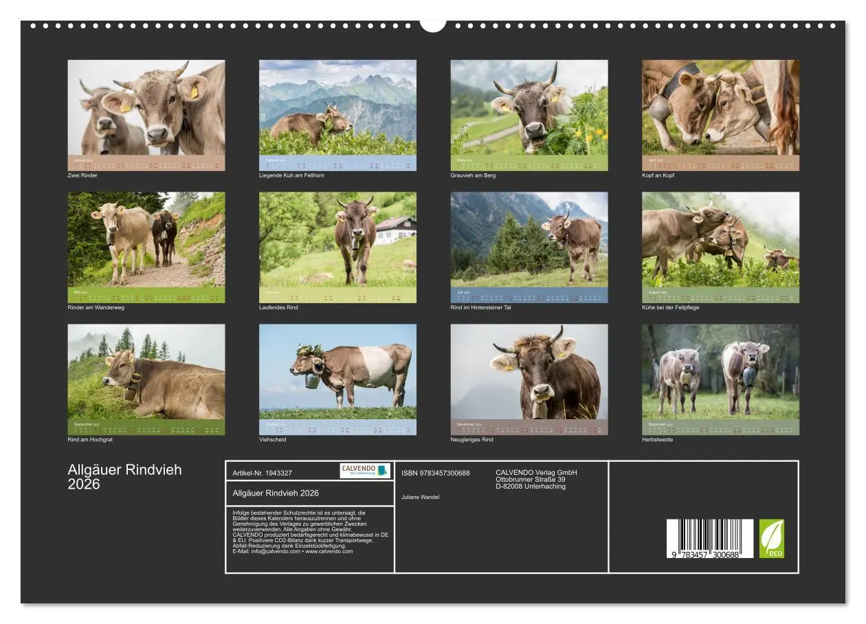 Bild: 9783457300688 | Allgäuer Rindvieh 2026 (hochwertiger Premium Wandkalender 2026 DIN...