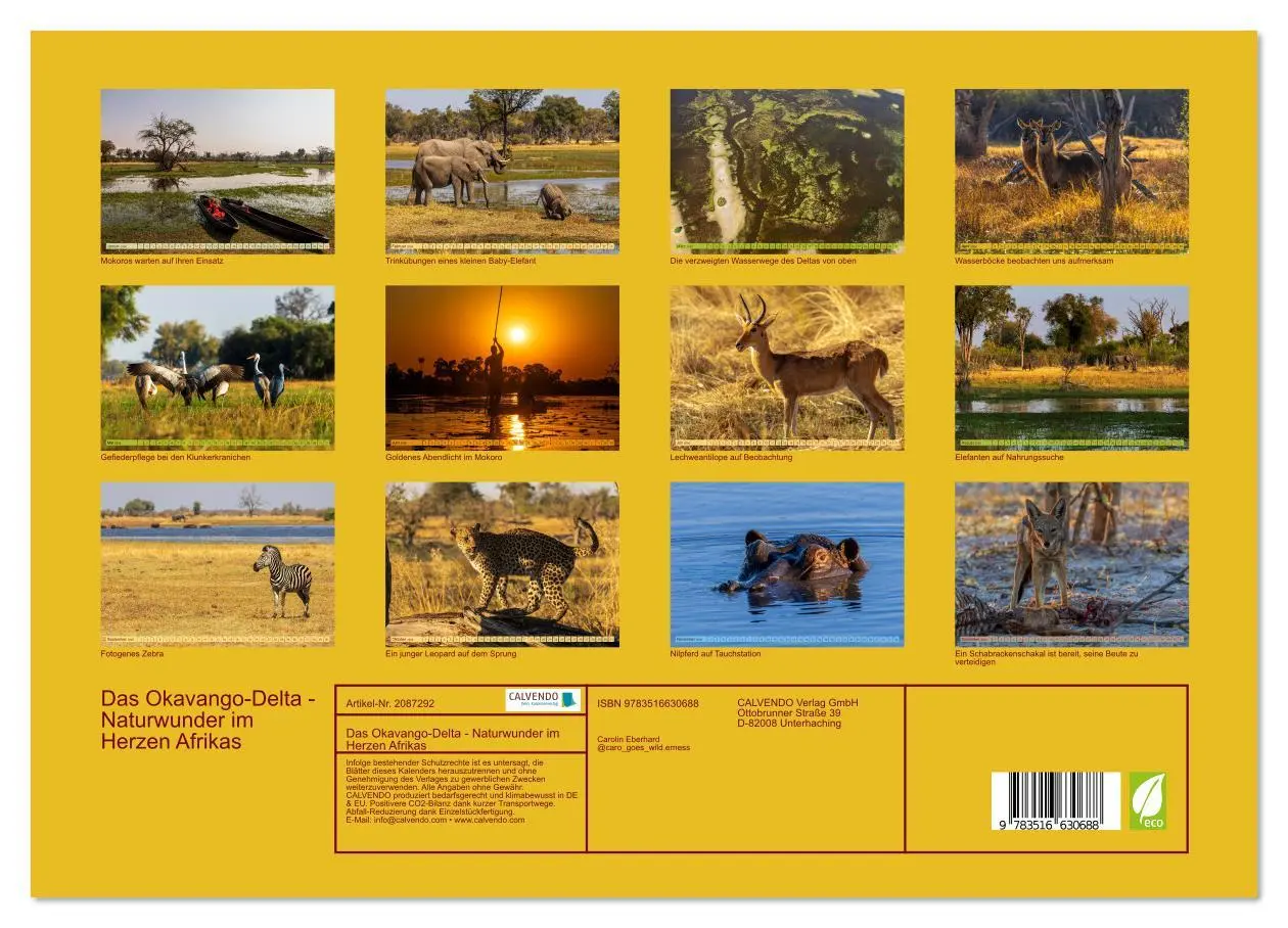 Bild: 9783516630688 | Das Okavango-Delta - Naturwunder im Herzen Afrikas (hochwertiger...