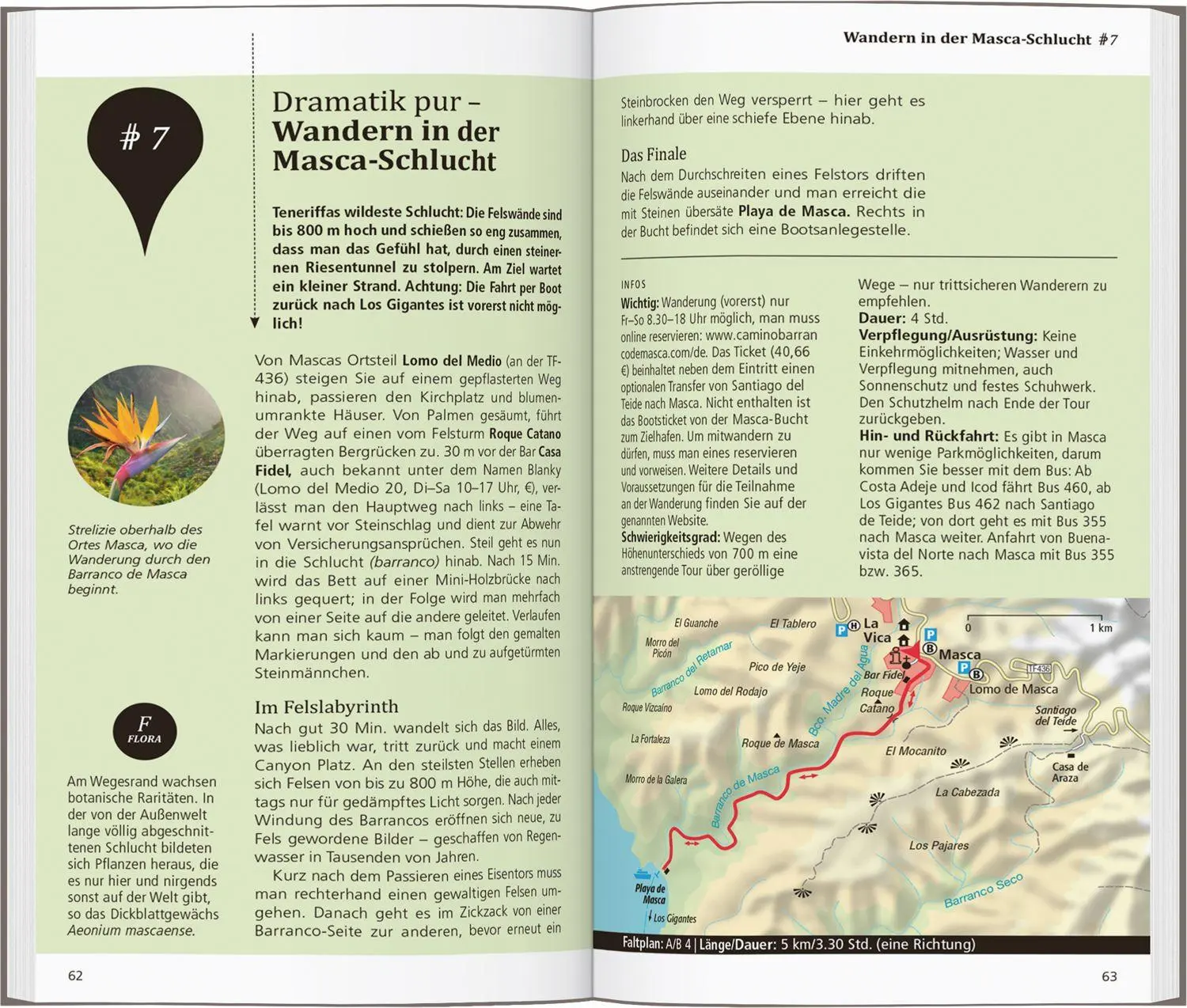 Bild: 9783616000688 | DUMONT direkt Reiseführer Teneriffa | Mit großem Faltplan | Gawin