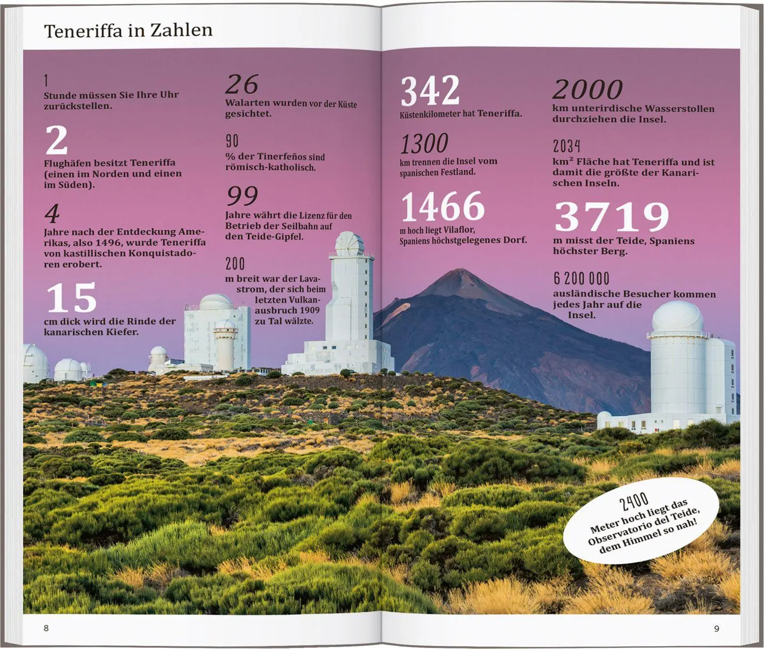 Bild: 9783616000688 | DUMONT direkt Reiseführer Teneriffa | Mit großem Faltplan | Gawin