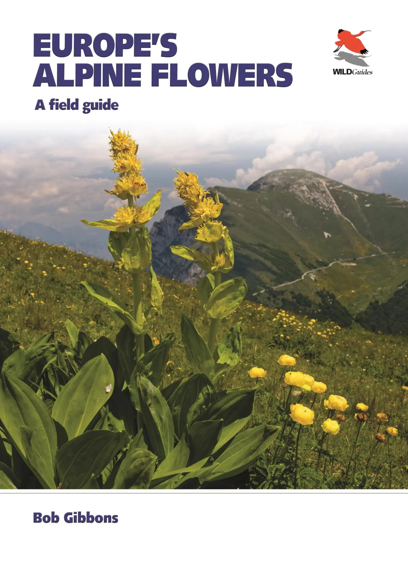 Cover: 9780691230788 | Europe's Alpine Flowers | A Field Guide | Bob Gibbons | Taschenbuch