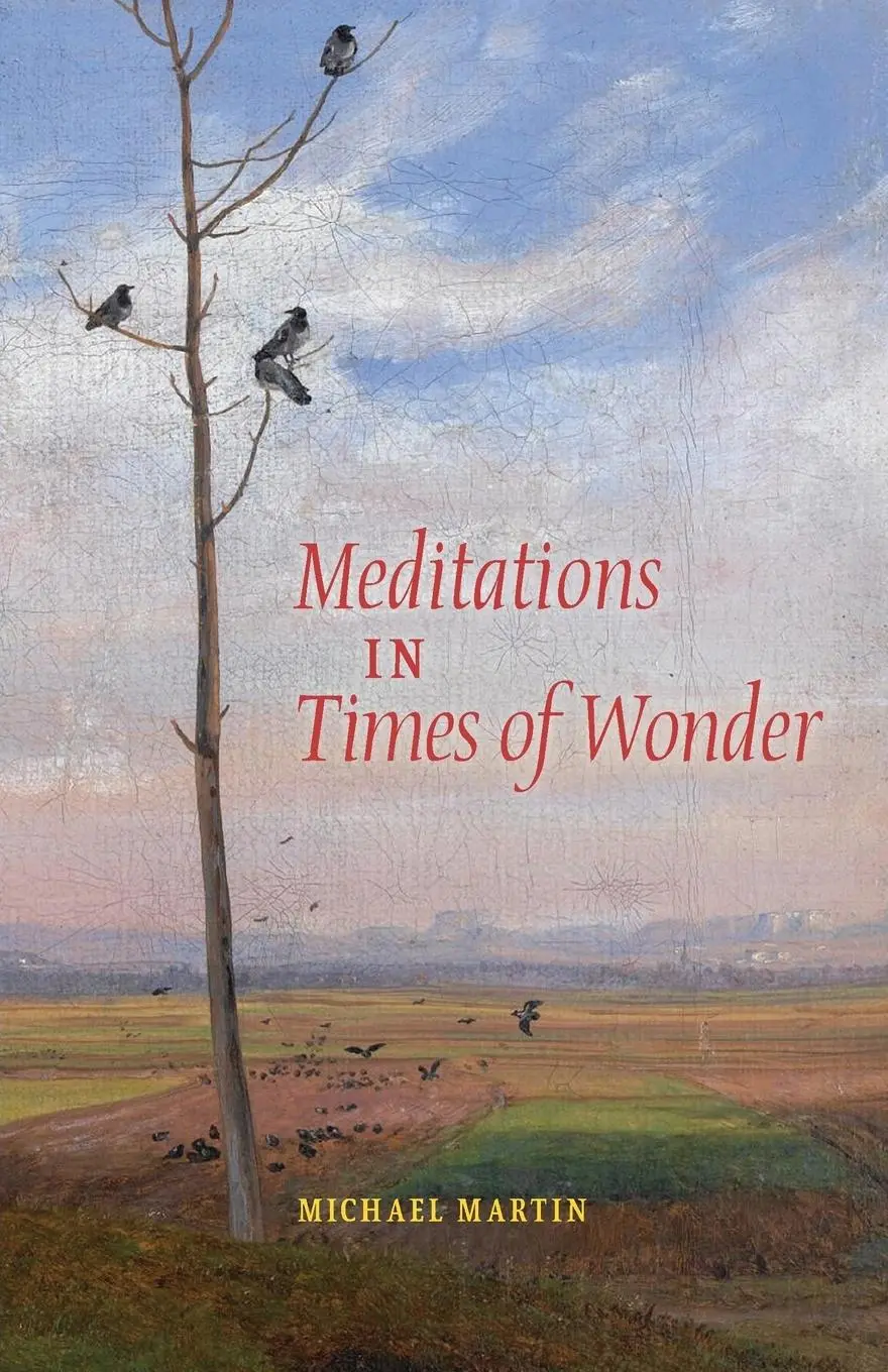 Cover: 9781621380788 | Meditations in Times of Wonder | Michael Martin | Taschenbuch | 2014