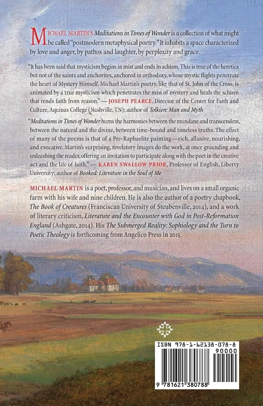 Rückseite: 9781621380788 | Meditations in Times of Wonder | Michael Martin | Taschenbuch | 2014