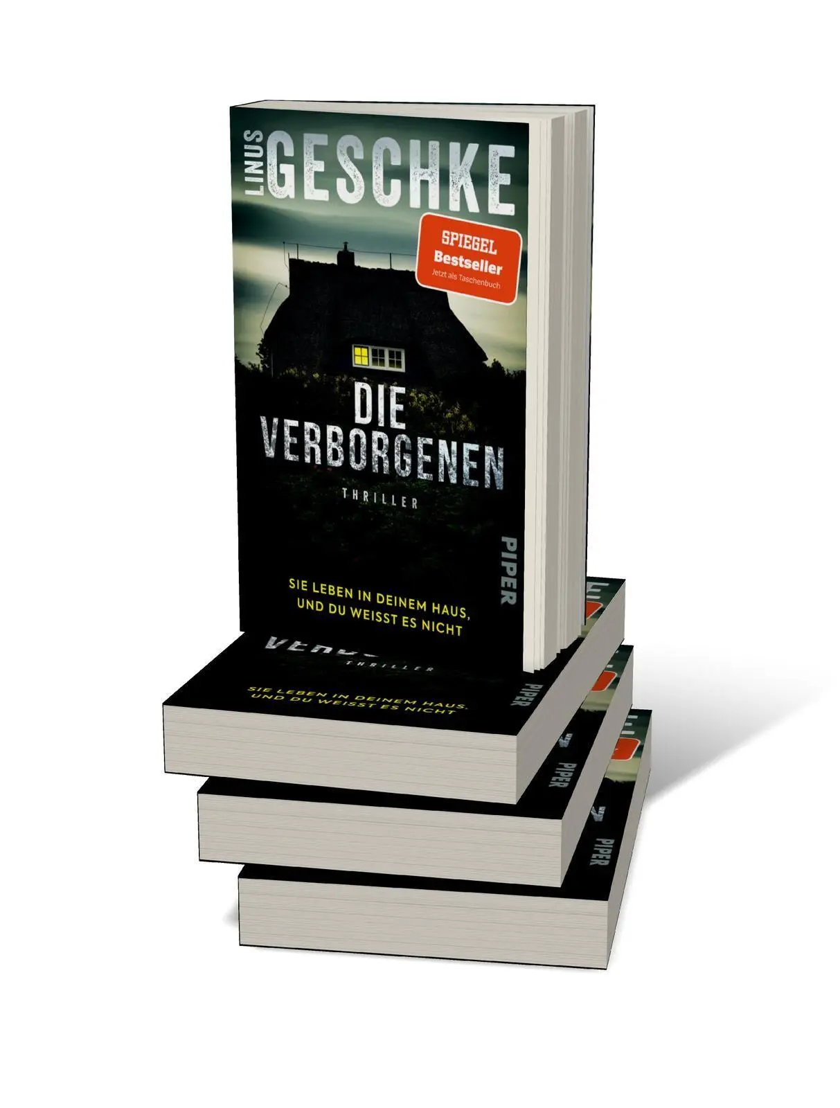 Bild: 9783492320788 | Die Verborgenen | Linus Geschke | Taschenbuch | 368 S. | Deutsch