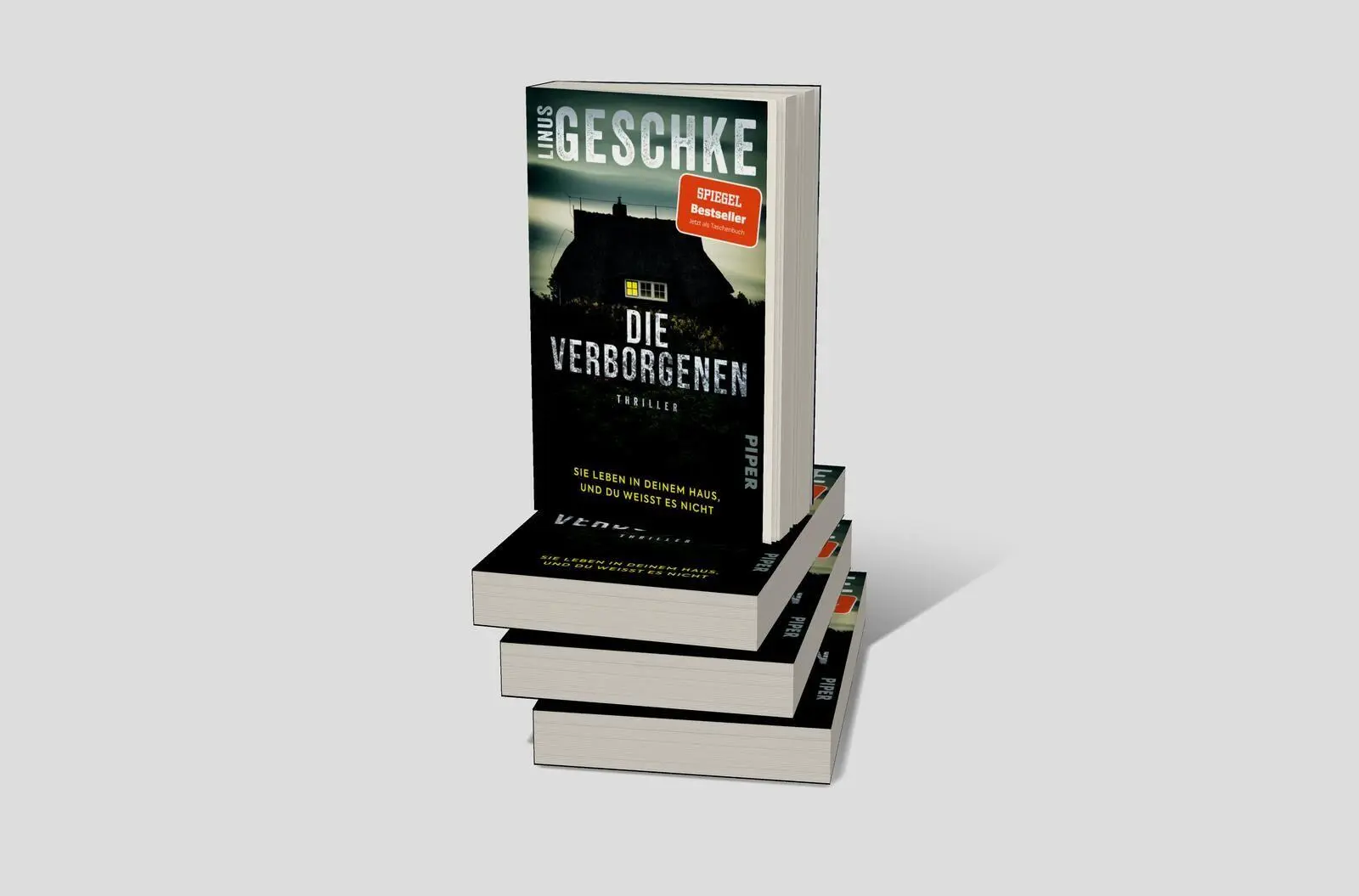 Bild: 9783492320788 | Die Verborgenen | Linus Geschke | Taschenbuch | 368 S. | Deutsch
