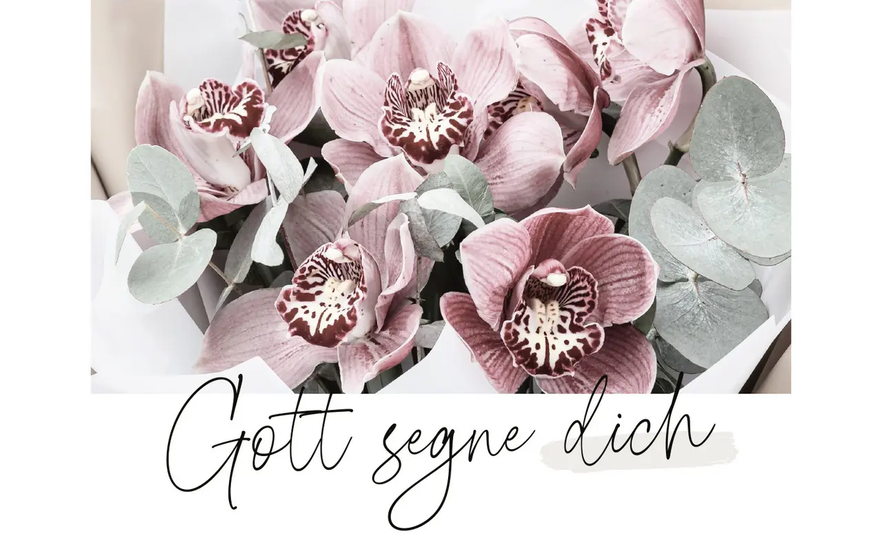 Bild: 4029856840888 | Unendlich geliebt - Textkarten | Postkartenbuch, -satz | 32 S. | 2024