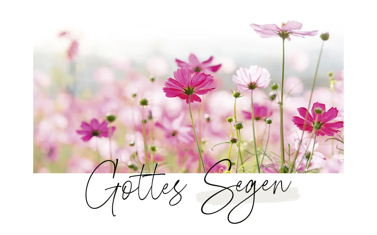 Bild: 4029856840888 | Unendlich geliebt - Textkarten | Postkartenbuch, -satz | 32 S. | 2024