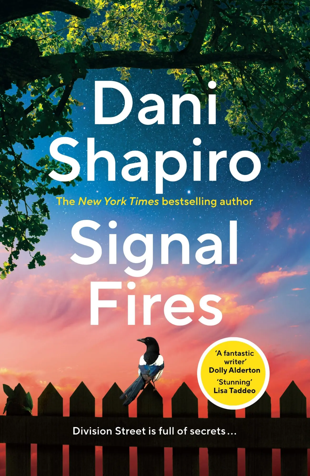 Cover: 9781529920888 | Signal Fires | Dani Shapiro | Taschenbuch | 288 S. | Englisch | 2024