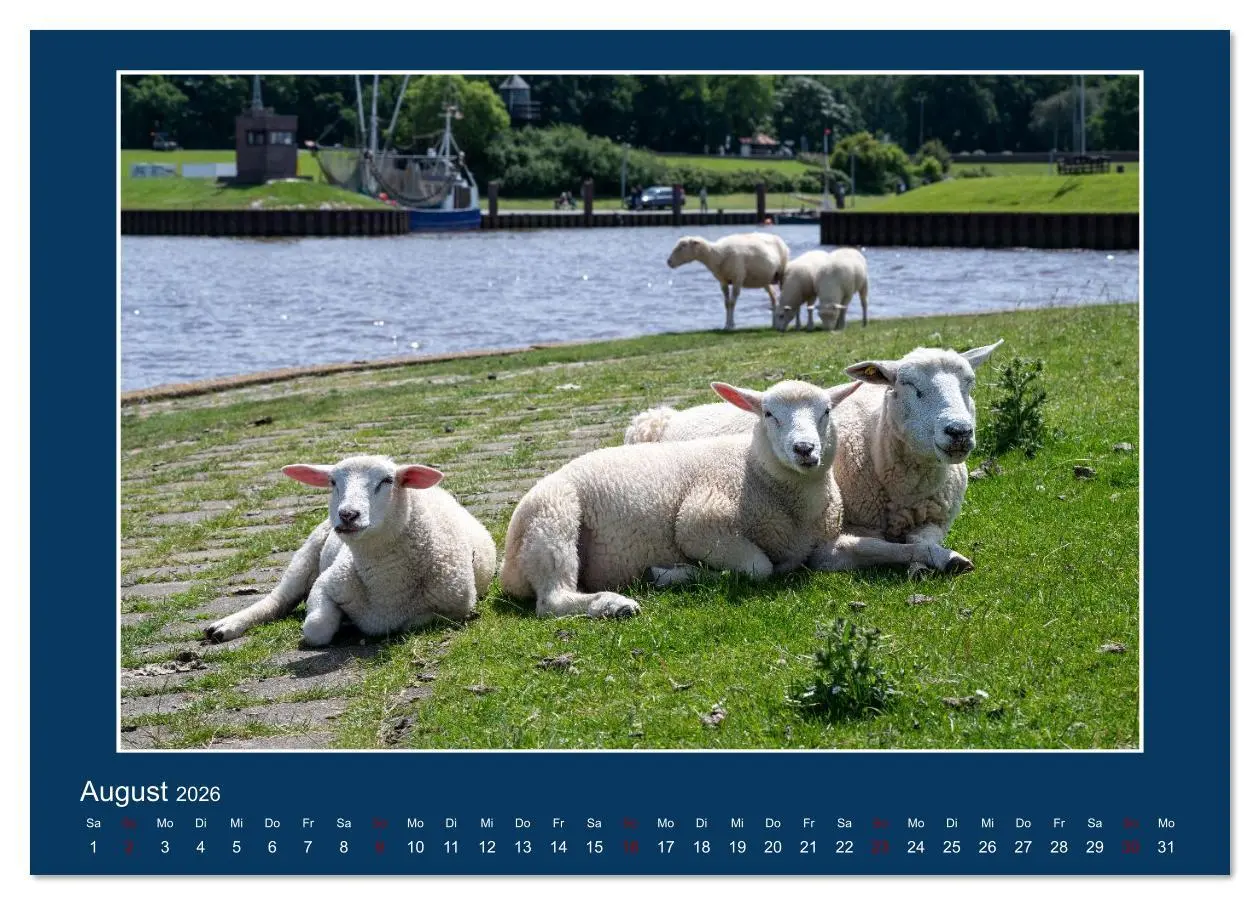 Bild: 9783516610888 | Dangast. Impressionen eines besonderen Ortes. (Tischkalender 2026...
