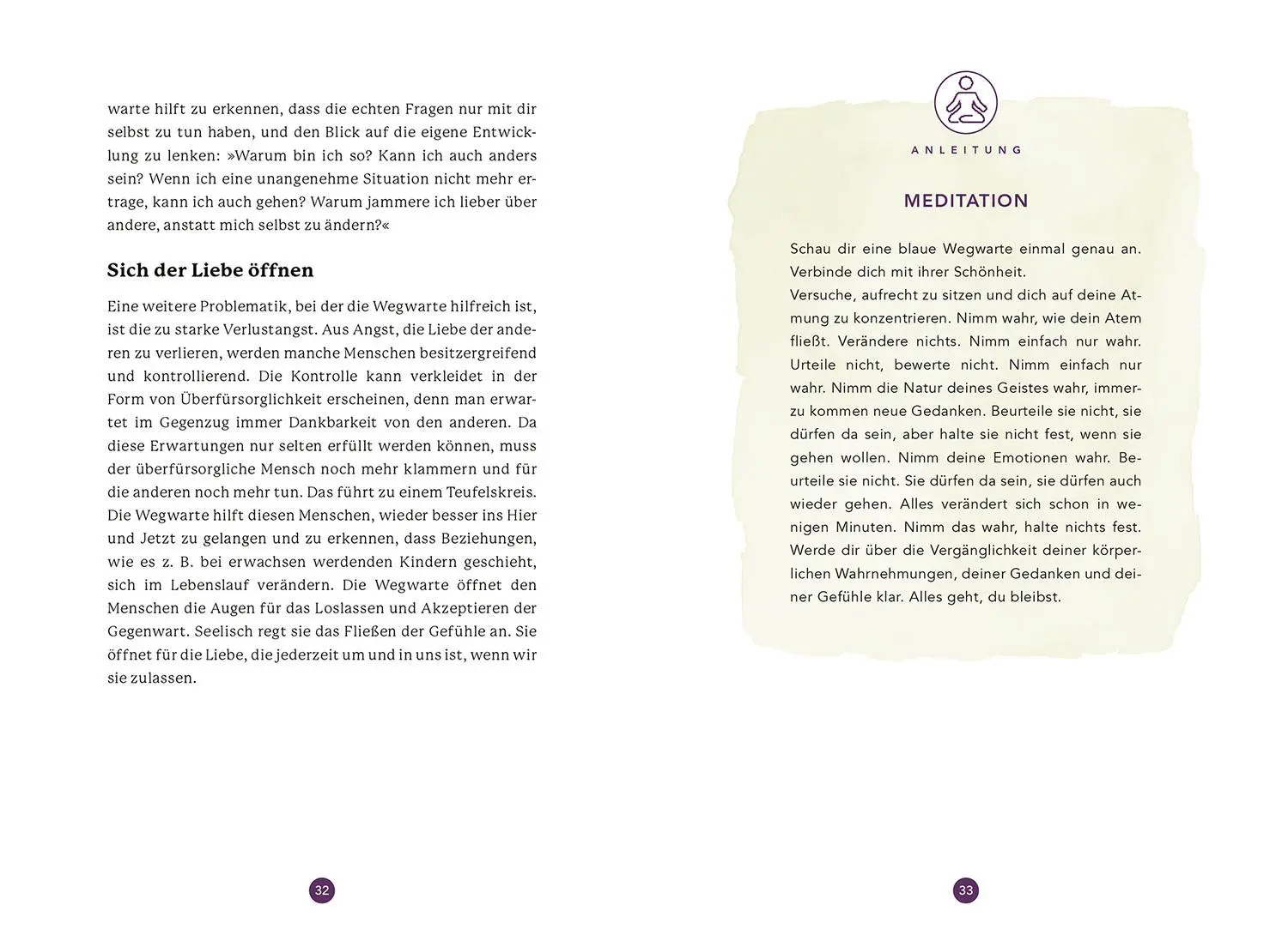 Bild: 9783968600888 | Heilpflanzen für die seelische Entwicklung | Angela Wucher | Buch