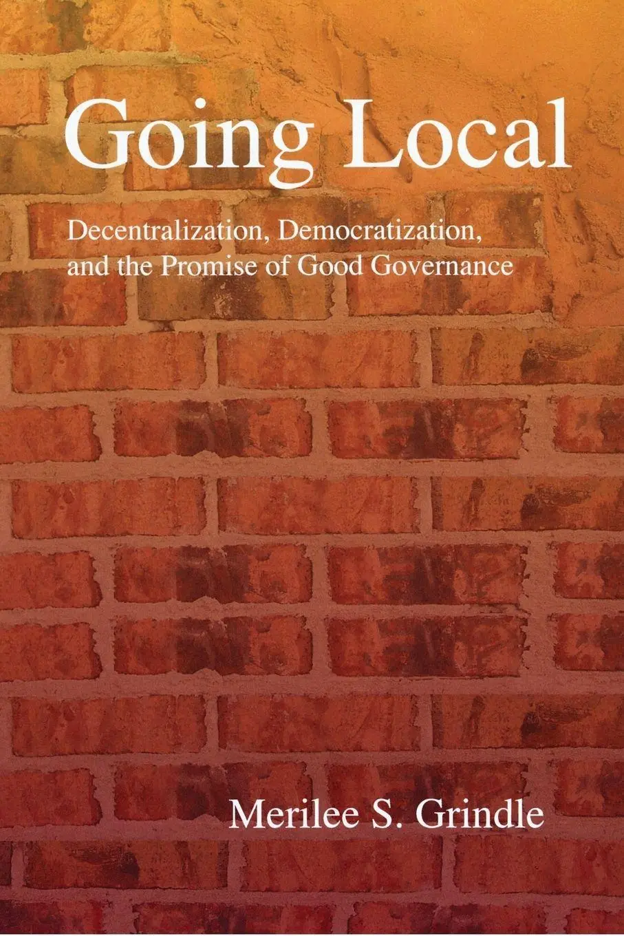 Cover: 9780691140988 | Going Local | Merilee S. Grindle | Taschenbuch | Englisch | 2009