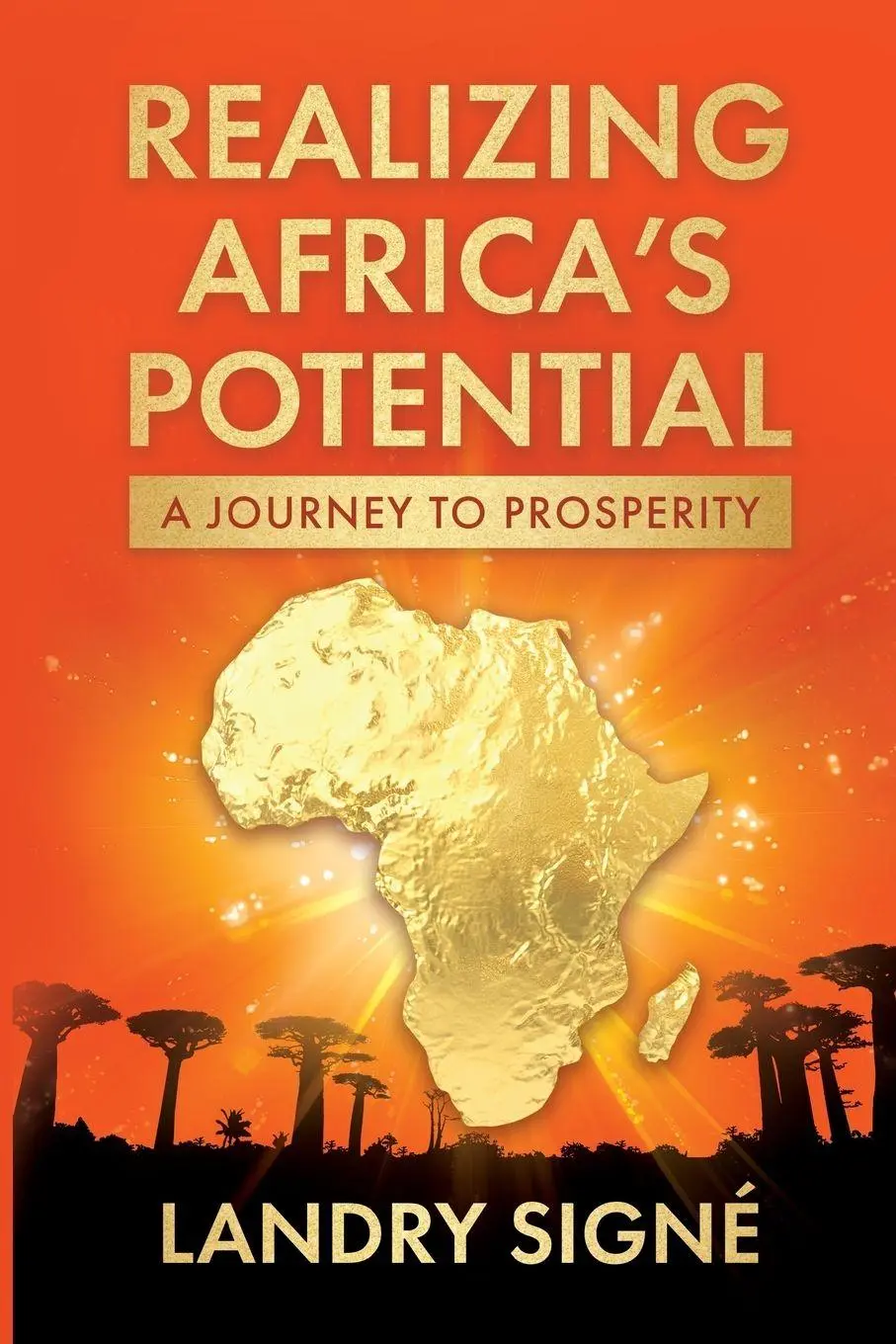 Cover: 9780815740988 | Realizing Africa's Potential | A Journey to Prosperity | Landry Signe