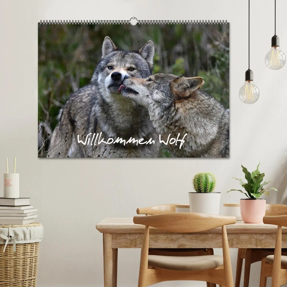 Bild: 9783457680988 | Willkommen Wolf (Wandkalender 2026 DIN A2 quer), CALVENDO...