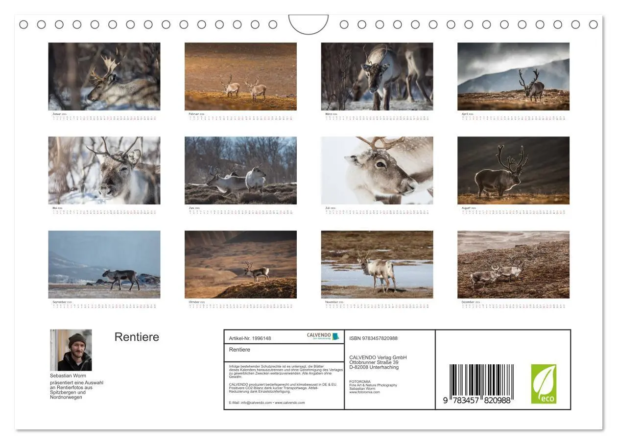 Bild: 9783457820988 | Rentiere (Wandkalender 2026 DIN A4 quer), CALVENDO Monatskalender