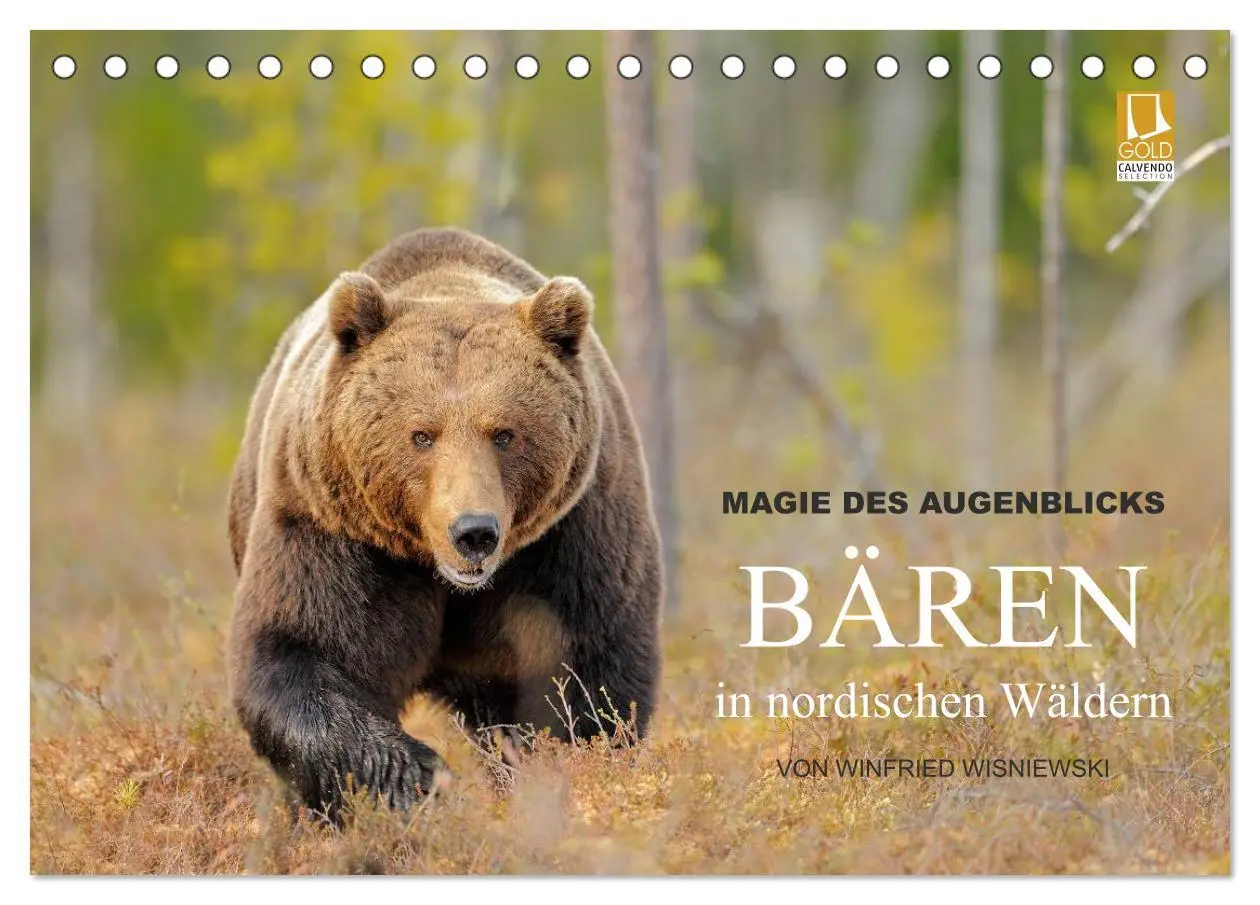 Cover: 9783516150988 | Magie des Augenblicks - Bären in nordischen Wäldern (Tischkalender...