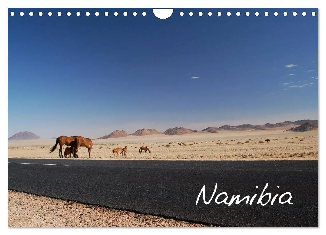 Cover: 9783594200988 | Namibia (Wandkalender 2027 DIN A4 quer), CALVENDO Monatskalender