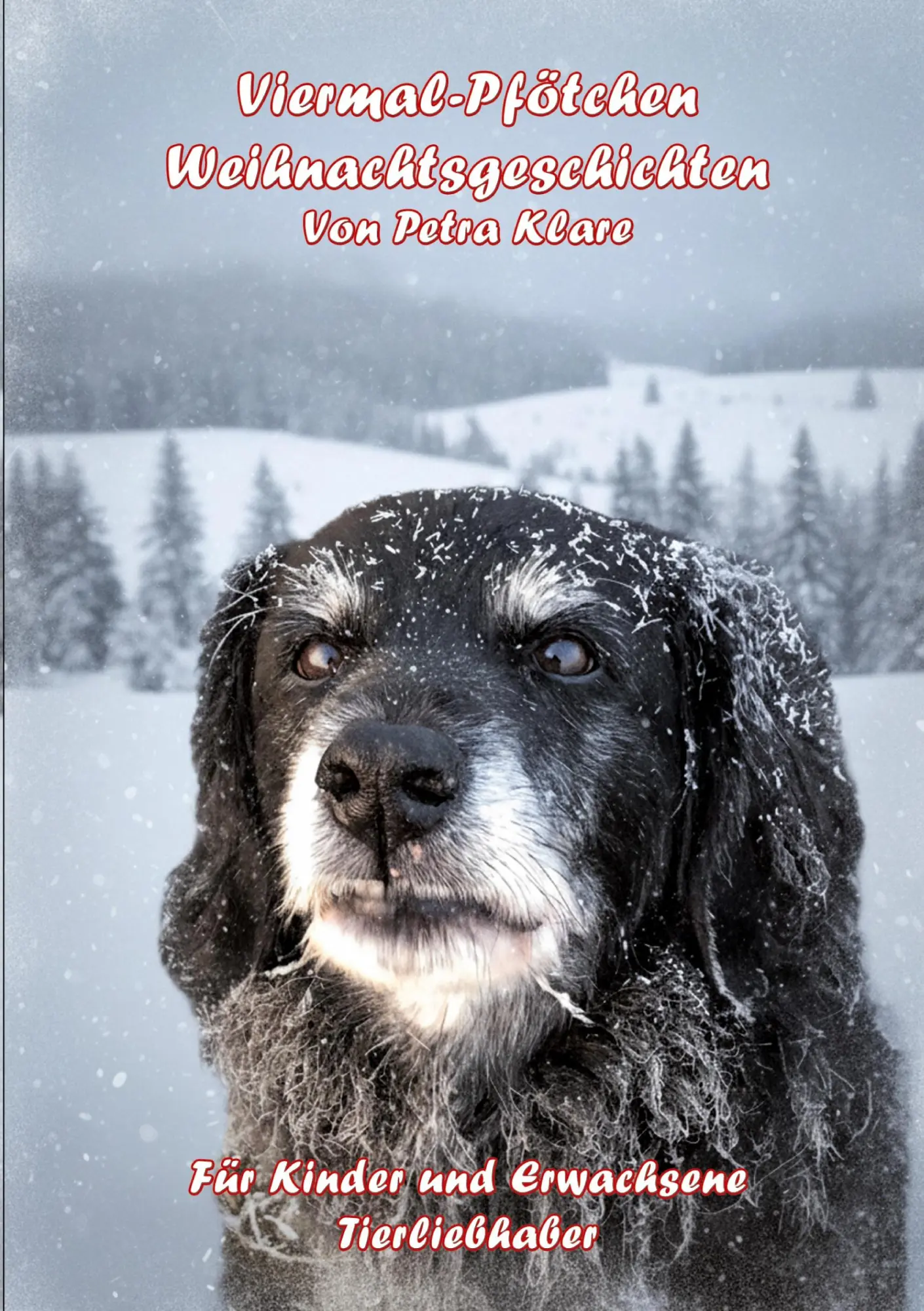 Cover: 9783695171088 | Viermal-Pfötchen | Weihnachtsgeschichten | Petra Klare | Taschenbuch