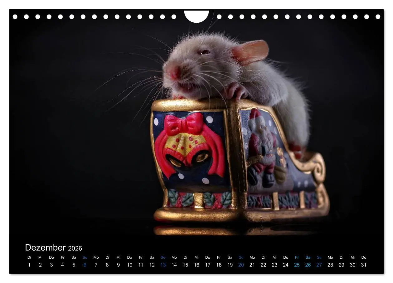 Bild: 9783516031188 | Ratten. Die große Welt der kleinen Nager (Wandkalender 2026 DIN A4...