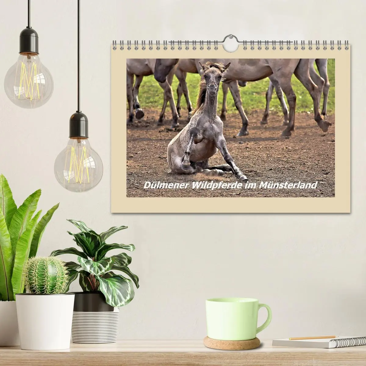 Bild: 9783457851388 | Dülmener Wildpferde im Münsterland (Wandkalender 2026 DIN A4 quer),...