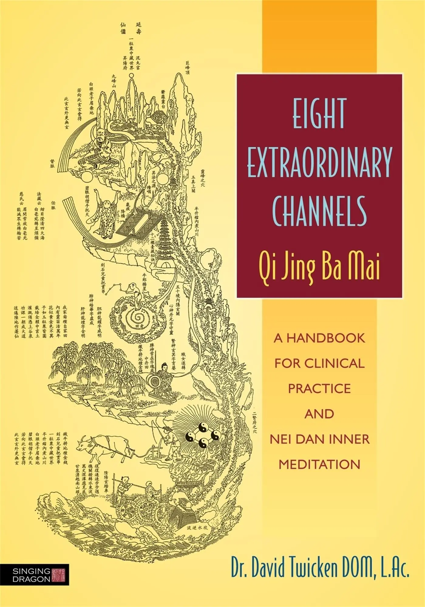 Cover: 9781848191488 | Eight Extraordinary Channels: Qi Jing Ba Mai | David Twicken | Buch
