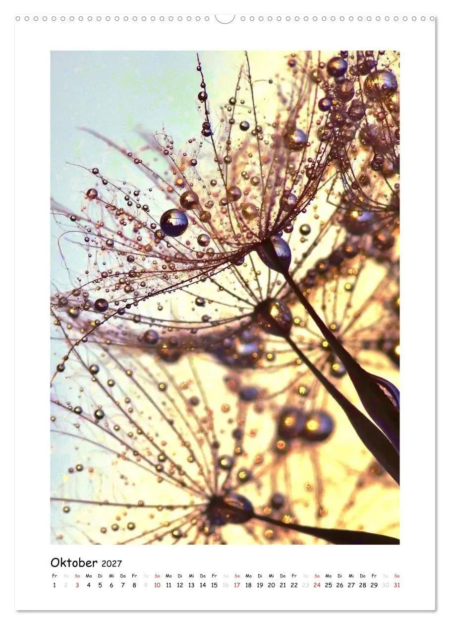Bild: 9783594081488 | Die Pusteblume neu erleben (hochwertiger Premium Wandkalender 2027...