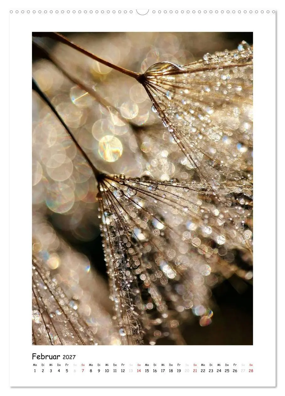 Bild: 9783594081488 | Die Pusteblume neu erleben (hochwertiger Premium Wandkalender 2027...