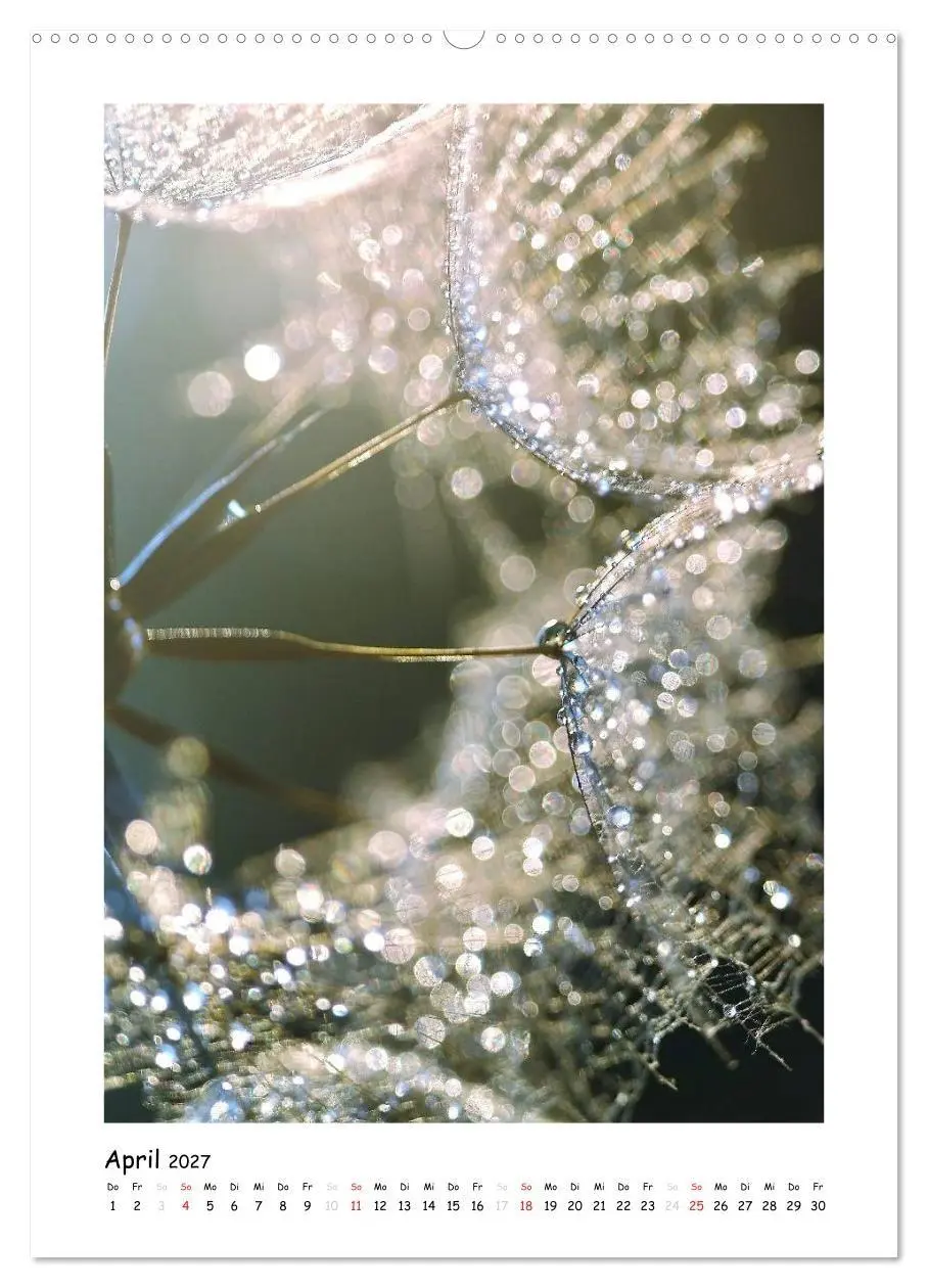 Bild: 9783594081488 | Die Pusteblume neu erleben (hochwertiger Premium Wandkalender 2027...