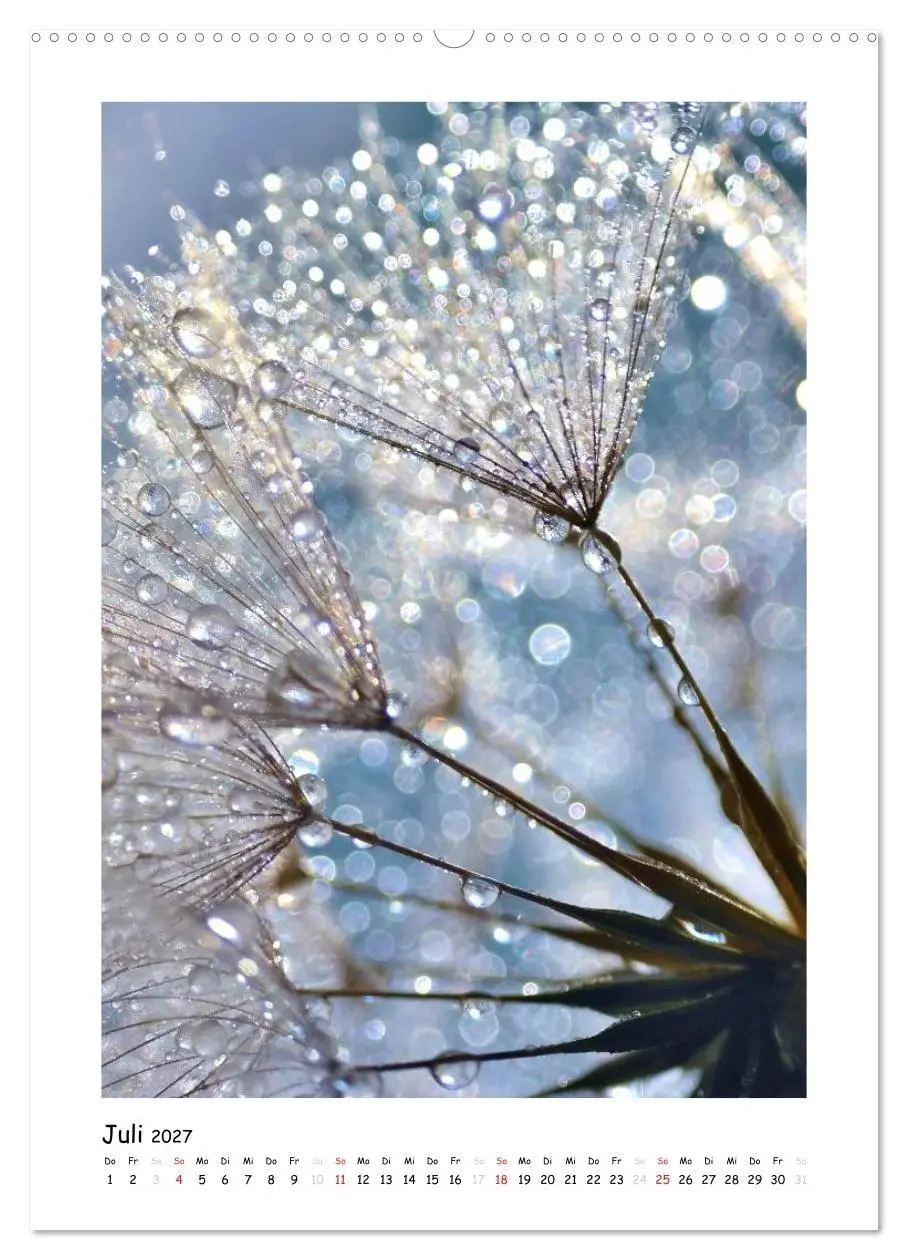 Bild: 9783594081488 | Die Pusteblume neu erleben (hochwertiger Premium Wandkalender 2027...
