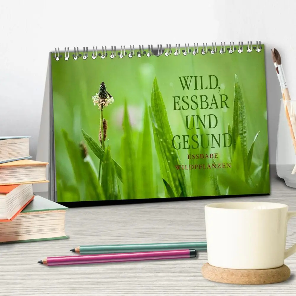 Bild: 9783435661688 | WILD, ESSBAR UND GESUND Essbare Wildpflanzen (Tischkalender 2025...