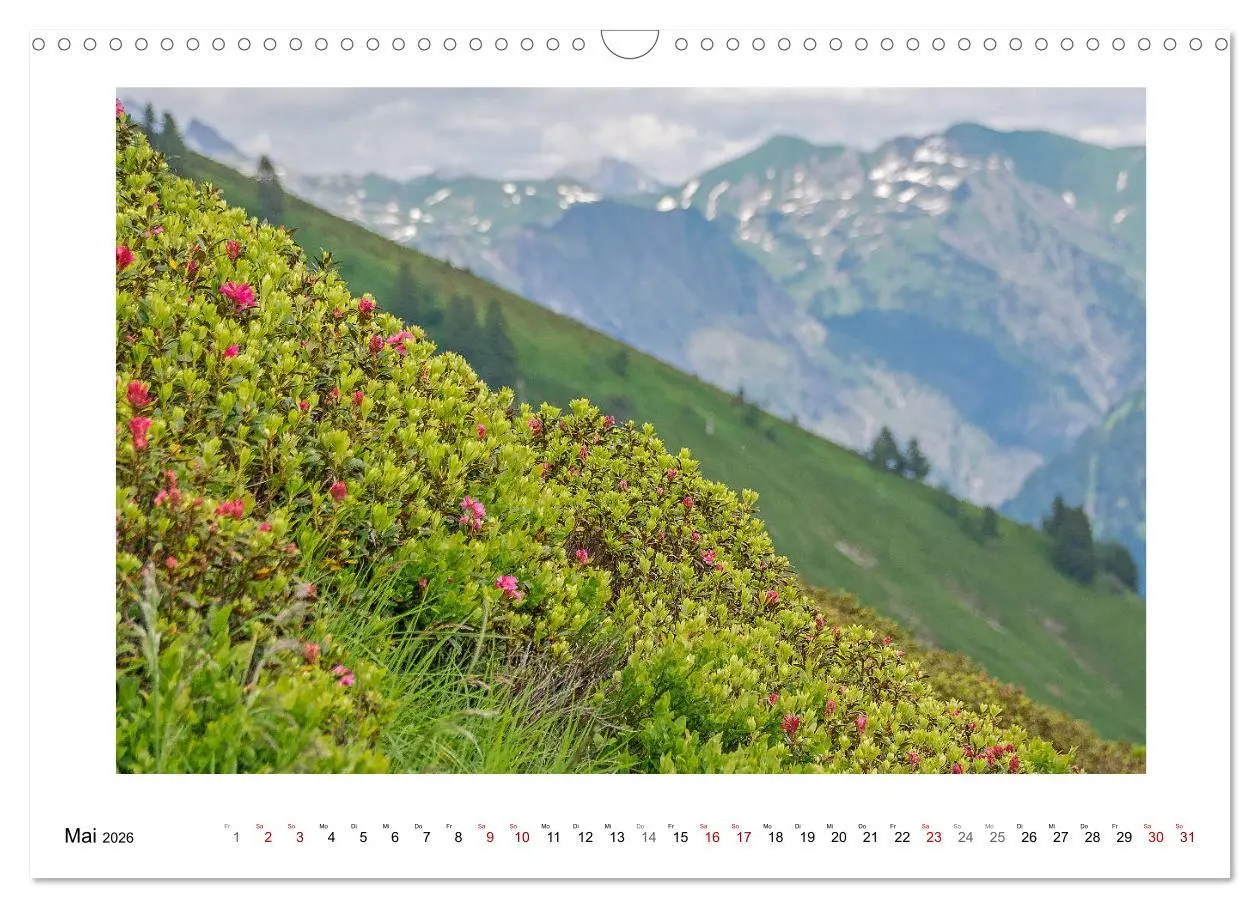 Bild: 9783457821688 | Naturwunder Bergwelt Fellhorn und Hörnergruppe (Wandkalender 2026...