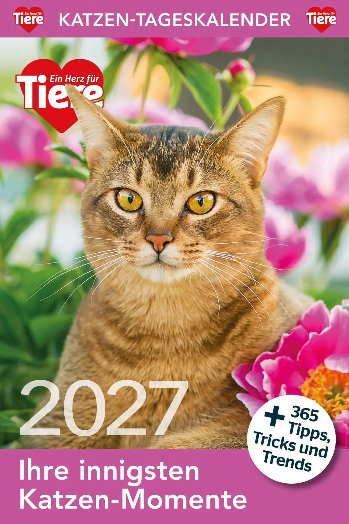 Cover: 9783865171788 | Katzen Tageskalender 2027 | Kalender | 365 S. | Deutsch | 2027