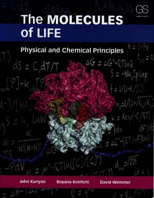 Cover: 9780815341888 | The Molecules of Life | Physical and Chemical Principles | Taschenbuch
