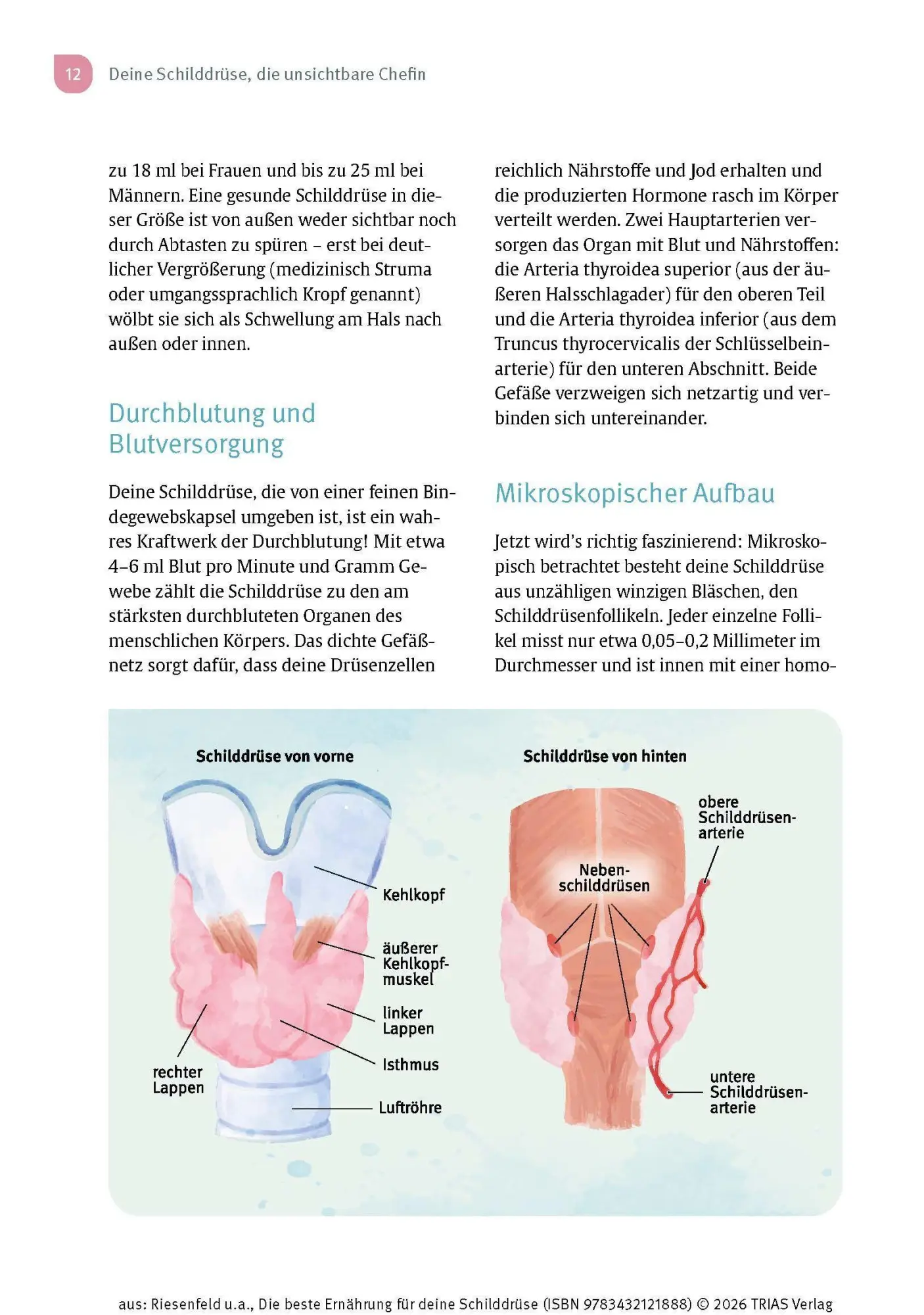 Bild: 9783432121888 | Die beste Ernährung für deine Schilddrüse | Iwonna Riesenfeld (u. a.)