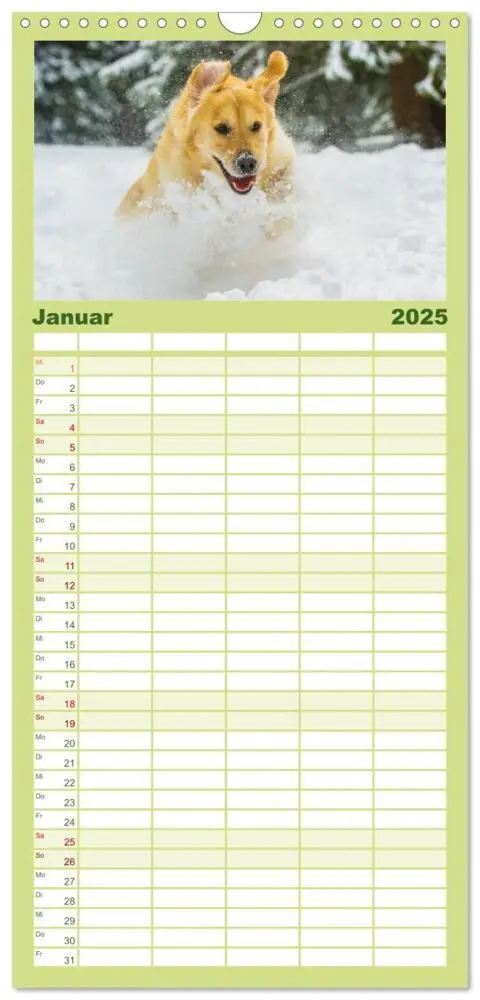Bild: 9783457111888 | Familienplaner 2025 - Das Glück hat einen Namen - Golden Retriever...