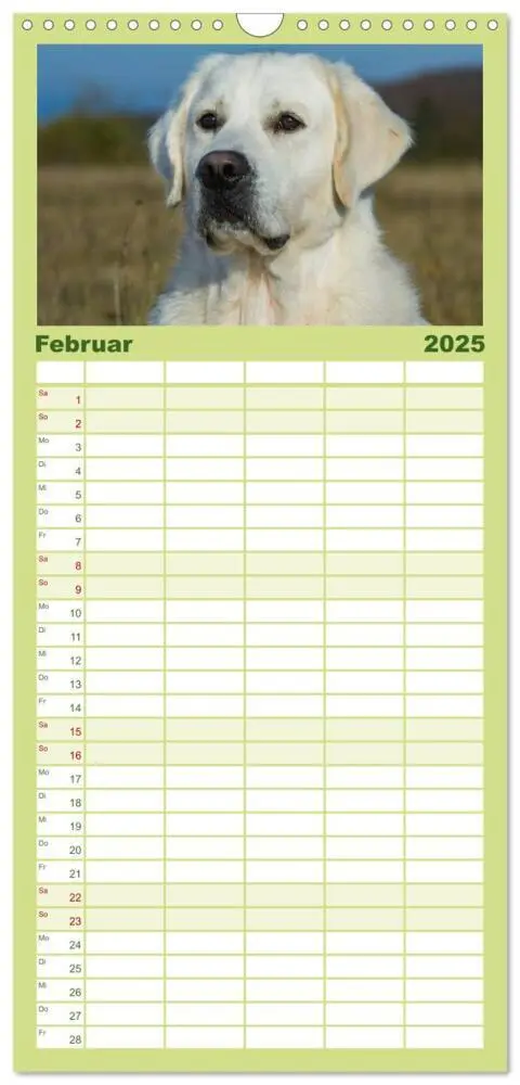 Bild: 9783457111888 | Familienplaner 2025 - Das Glück hat einen Namen - Golden Retriever...