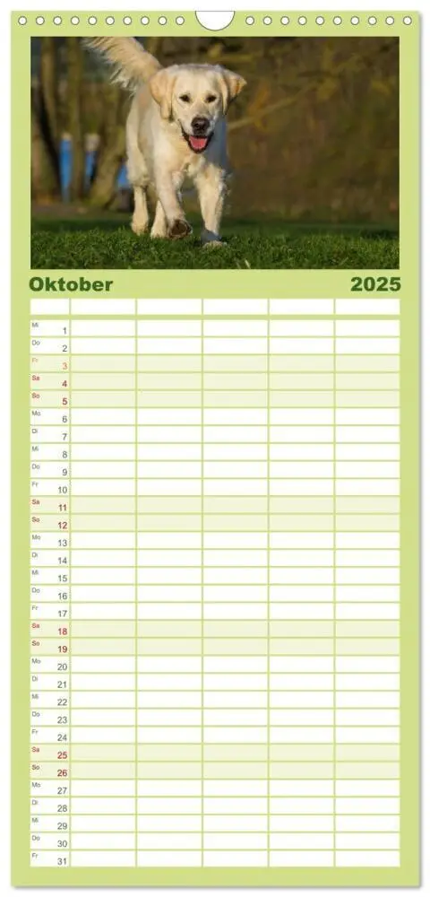 Bild: 9783457111888 | Familienplaner 2025 - Das Glück hat einen Namen - Golden Retriever...