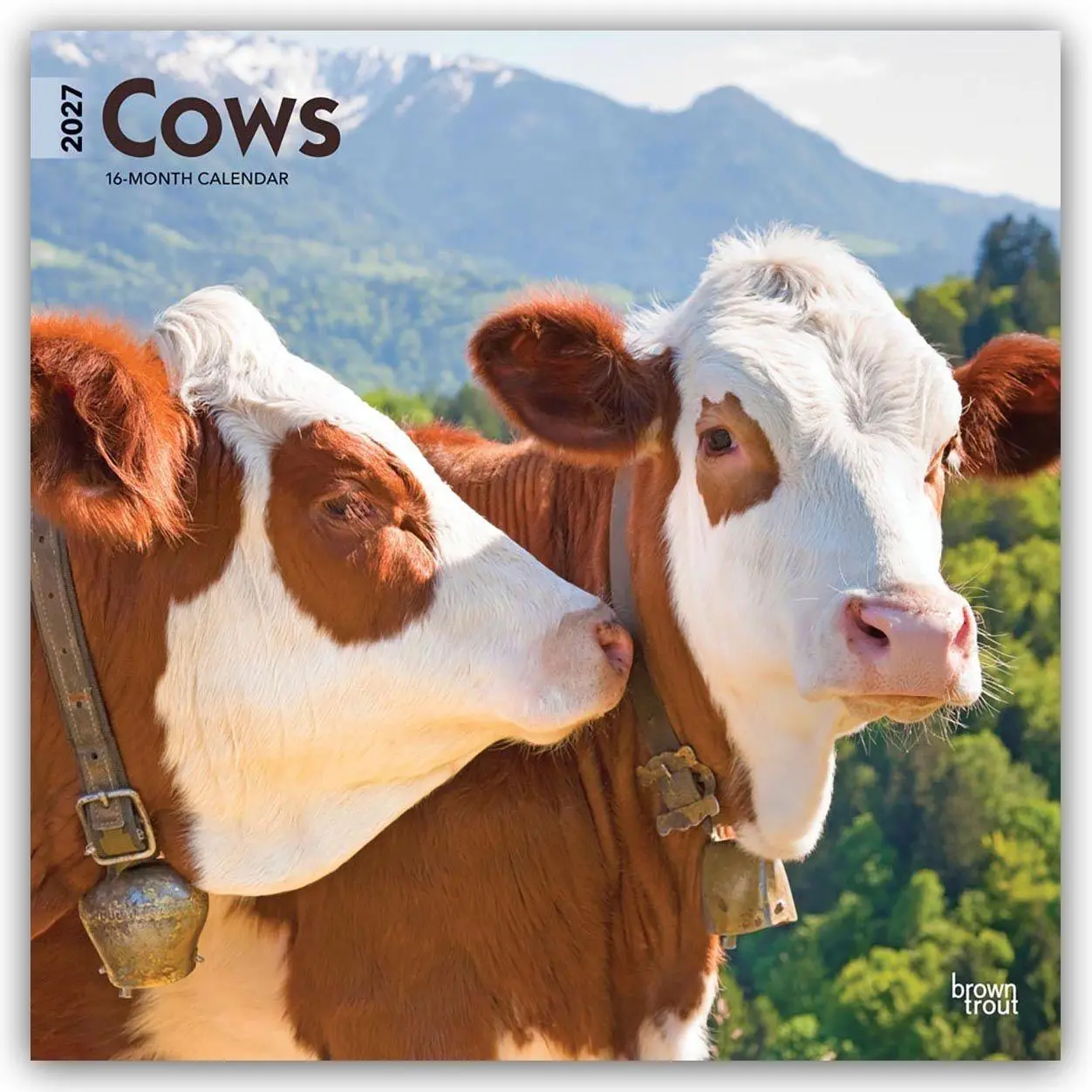 Cover: 9798330711888 | Cows - Kühe 2027 - 16-Monatskalender | Browntrout Publishers | 28 S.
