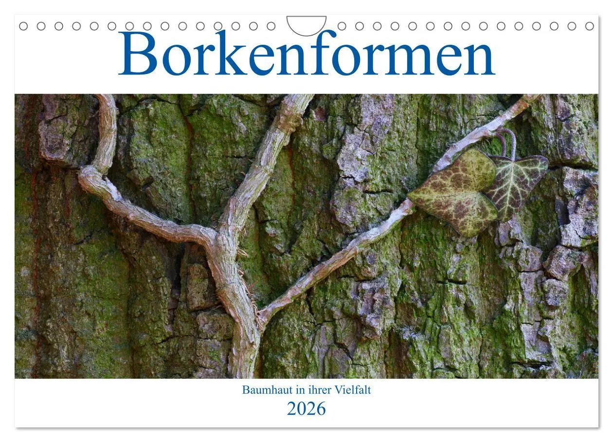 Cover: 9783457651988 | Borkenformen (Wandkalender 2026 DIN A4 quer), CALVENDO Monatskalender