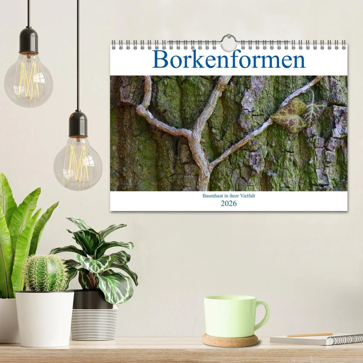 Bild: 9783457651988 | Borkenformen (Wandkalender 2026 DIN A4 quer), CALVENDO Monatskalender
