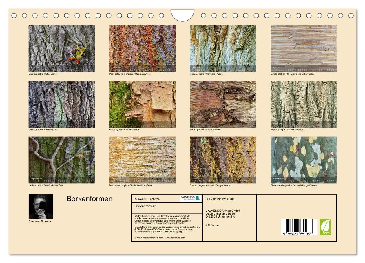 Bild: 9783457651988 | Borkenformen (Wandkalender 2026 DIN A4 quer), CALVENDO Monatskalender