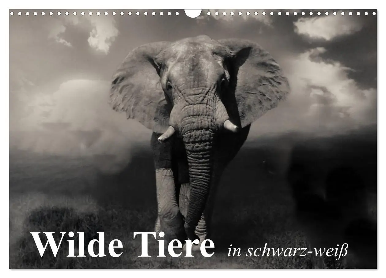 Cover: 9783516051988 | Wilde Tiere in schwarz-weiß (Wandkalender 2026 DIN A3 quer),...