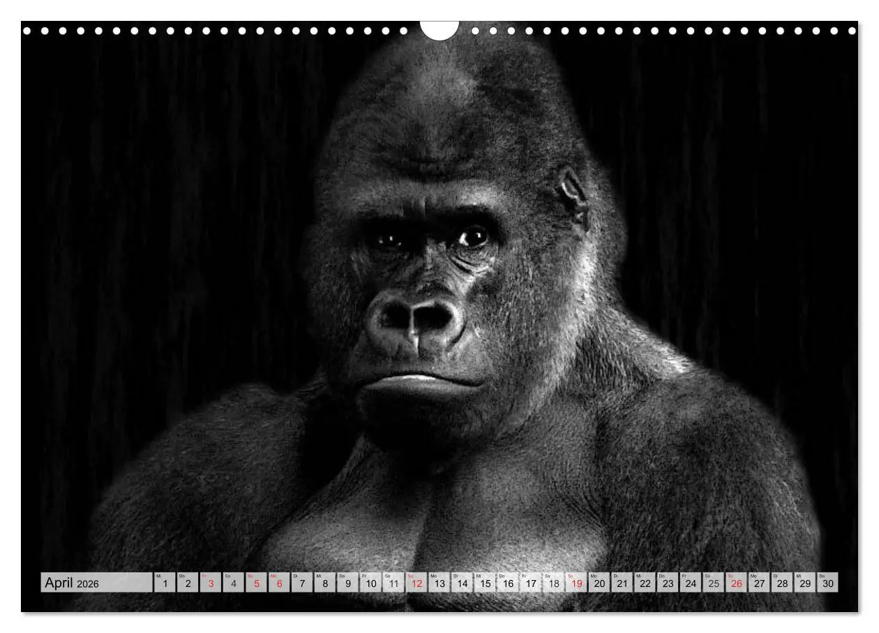 Bild: 9783516051988 | Wilde Tiere in schwarz-weiß (Wandkalender 2026 DIN A3 quer),...