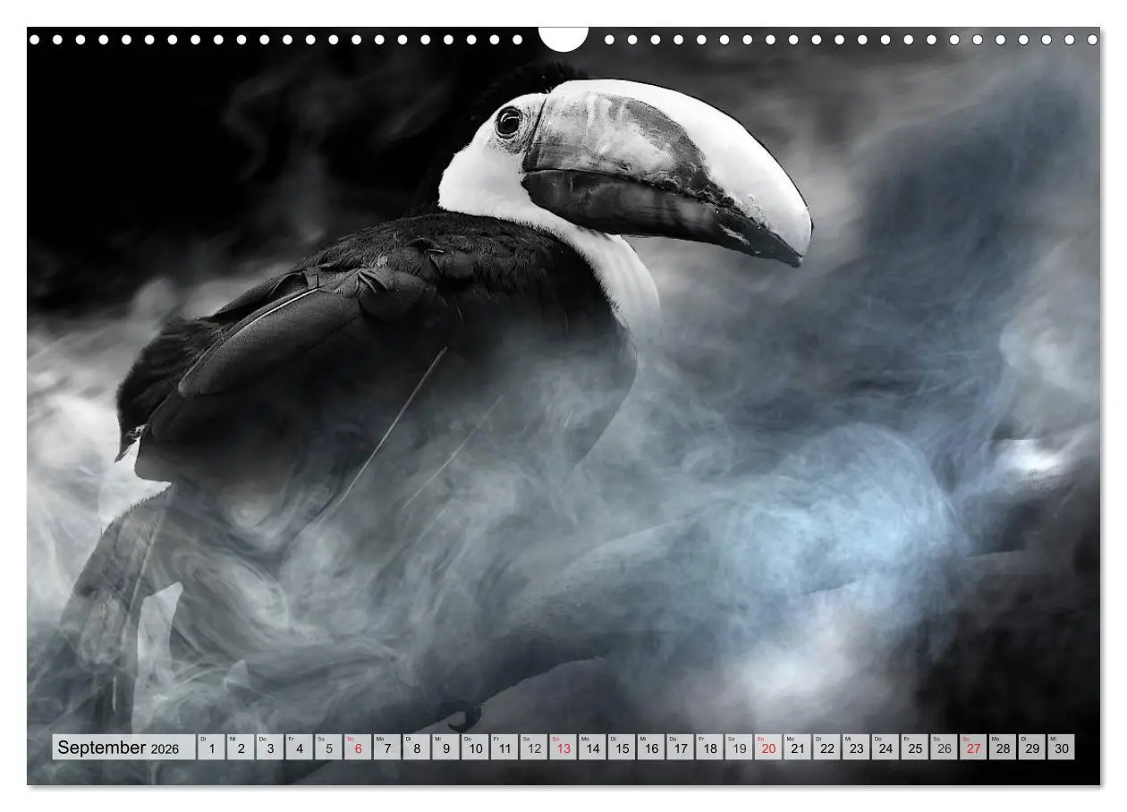 Bild: 9783516051988 | Wilde Tiere in schwarz-weiß (Wandkalender 2026 DIN A3 quer),...