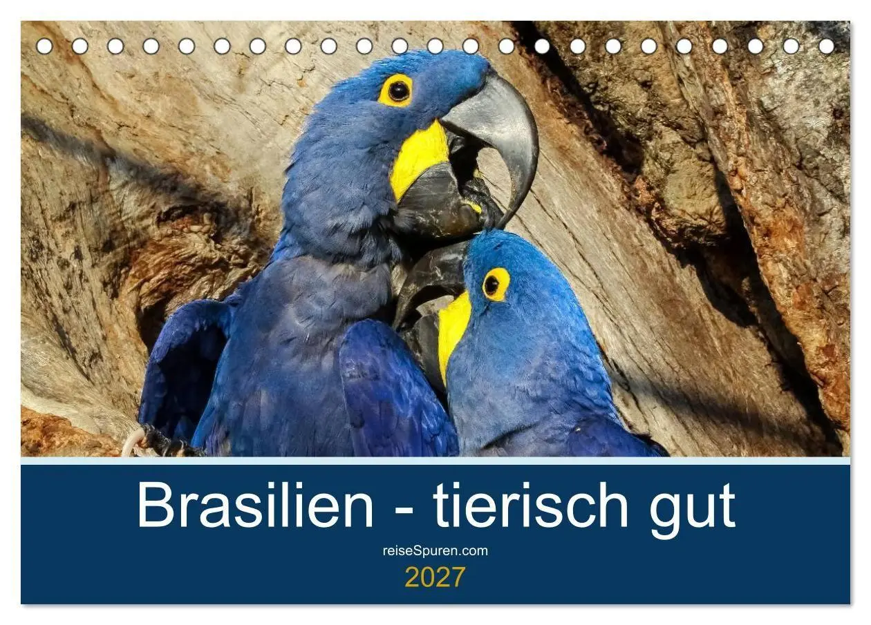 Cover: 9783594101988 | Brasilien tierisch gut 2027 (Tischkalender 2027 DIN A5 quer),...