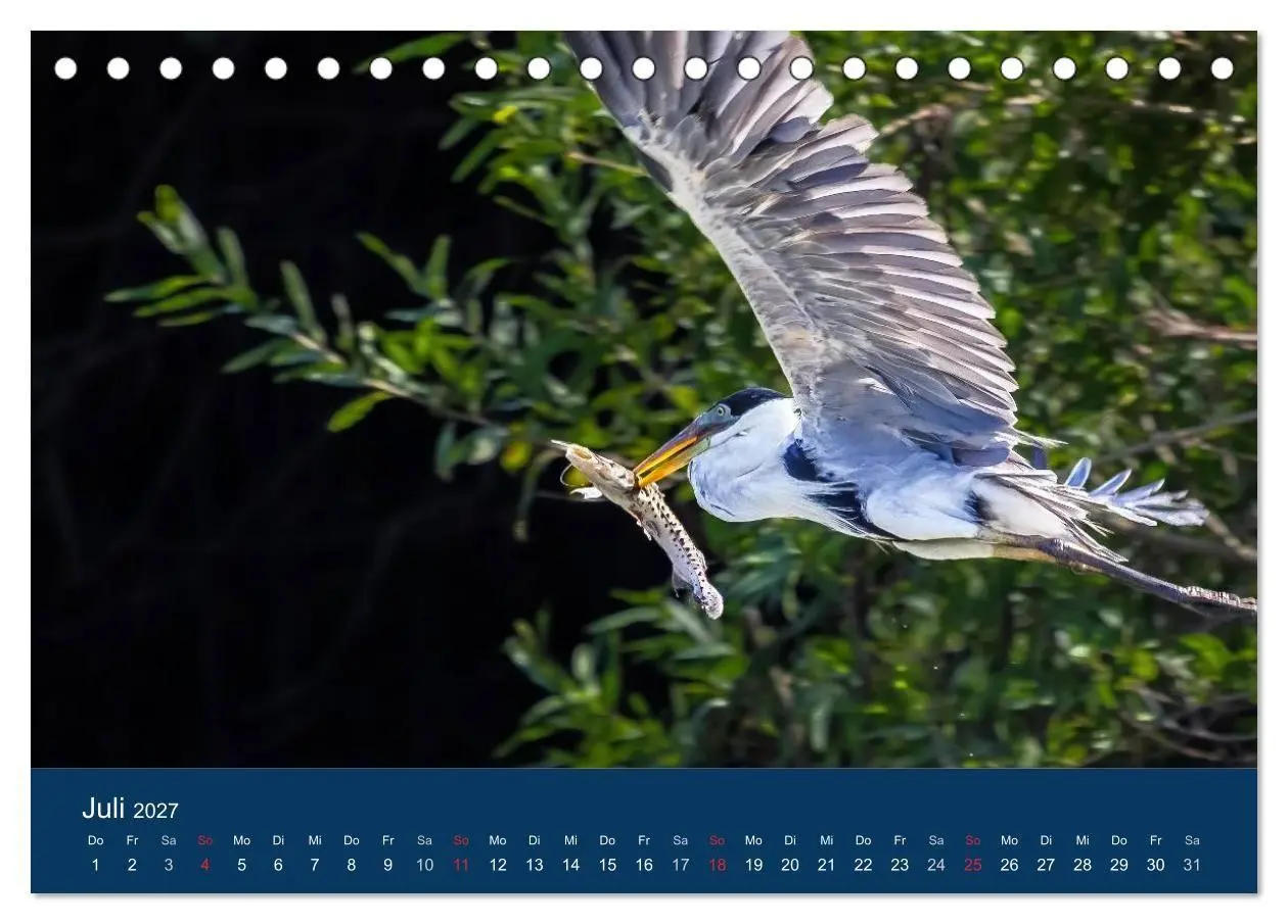 Bild: 9783594101988 | Brasilien tierisch gut 2027 (Tischkalender 2027 DIN A5 quer),...