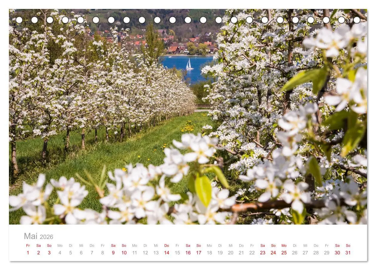 Bild: 9783457782088 | BODENSEE Drei Länder - ein See (Tischkalender 2026 DIN A5 quer),...